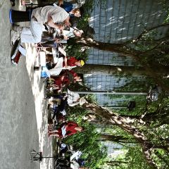 娇姐老牌螺蛳粉(雅儒路店) User Photo