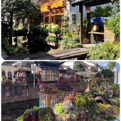 Kamba Nomadic Cafe User Photo