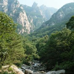 WEIDAOJIA MAMACAI 여행 사진