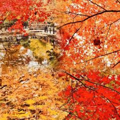 绘璟轩·不醒人室 User Photo