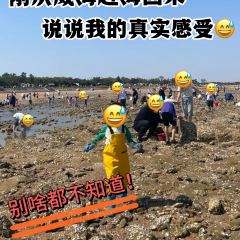 贤花饭店(韩乐坊东街店) User Photo