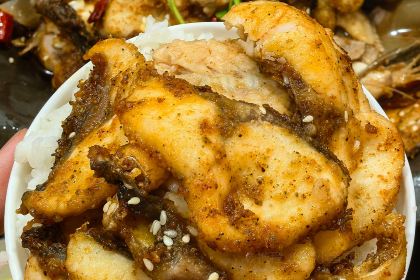 石锅鱼(小西庄店)