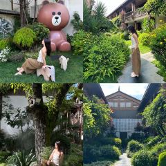 屋顶咖啡·日落甜茶·雪山花园 ·bistro 여행 사진
