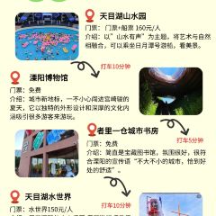 紫藤园·天目湖大鱼头(南山竹海店) User Photo