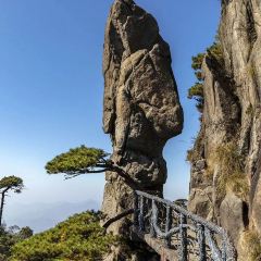 杨萍粉店 User Photo