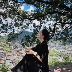 猪圈咖啡屋 User Photo