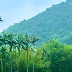 柳州五星步行街怡程酒店·金惠大酒楼(连塘店) User Photo