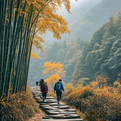 飞茑集樢咖啡 User Photo