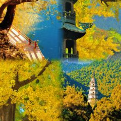 秦记火烧 User Photo