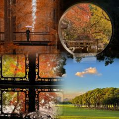 LI BAI XIE User Photo