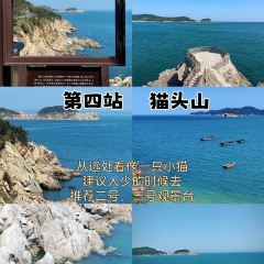 FRESH UNDER THE SEA User Photo