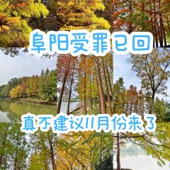 铁锅年代(天台店) 여행 사진