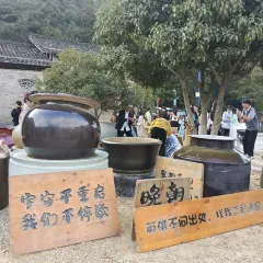 陶姐冷粉張用戶圖片