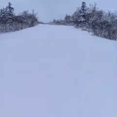 RABBIT HOLE User Photo