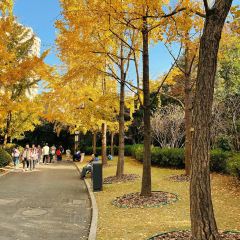 Zhengweizhaiguobacai(Xi Bei Jiao Dian ) User Photo