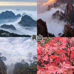 靈山酒釀張用戶圖片