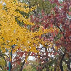 一尺稻田咖啡 여행 사진