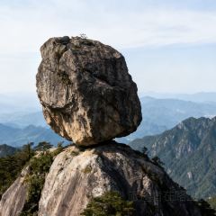 秀嫂挞粿 User Photo