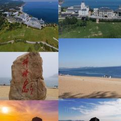 ROYAL OCEAN User Photo