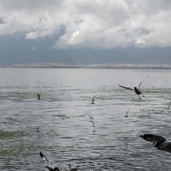 大理安汋海景酒店·餐厅 User Photo