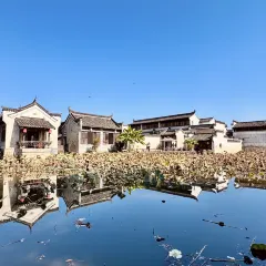 灵山酒酿 User Photo