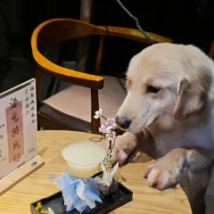 微醺酒館·民謠微livehouse（領事館店）張用戶圖片