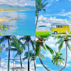 dan jia yu pai User Photo