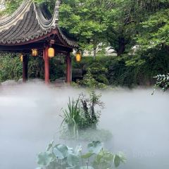 JUBILEE GARDEN User Photo