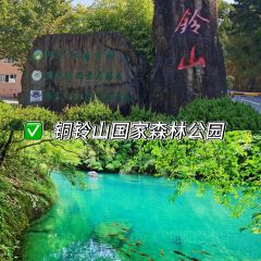LIN SHANG REN JIA User Photo