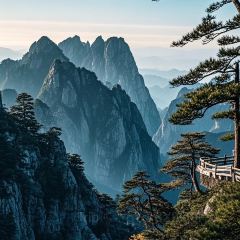 肖家郟縣餄餎面張用戶圖片