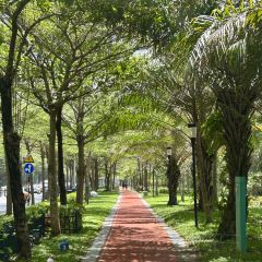 嫚姐清补凉·水果炒冰(渔村店) User Photo