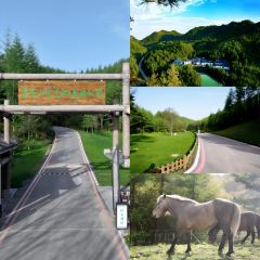 XIANG WEI CUN GU CHANG CAI User Photo