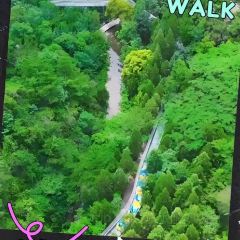 悬崖咖啡厅 User Photo