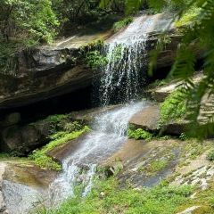 老萍巷·萍乡小炒肉(御景园店) User Photo