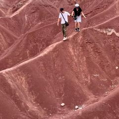 Chongqingxiaotian'e (kaifaqu) User Photo