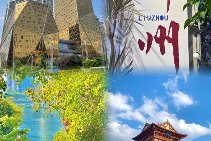 曹妹螺蛳粉(柳锌总店)