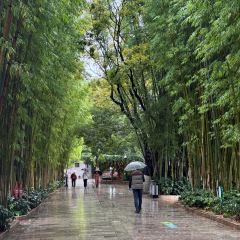 AI SHANG JUN User Photo