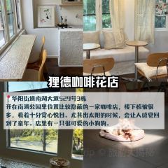 Haiguanhundouhua User Photo