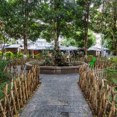 甘家界檸檬鴨(春暉店)張用戶圖片