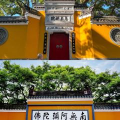 飛珠麵店張用戶圖片