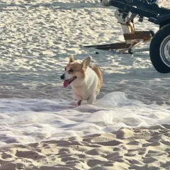 杯杯乐 여행 사진