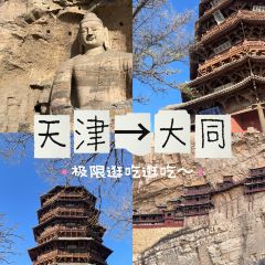 XINJIN TAO User Photo