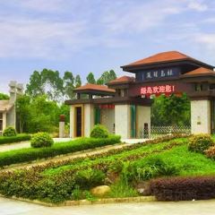 老炳·七丛松甘草水果 User Photo