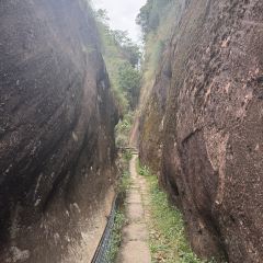 橘隱家張用戶圖片