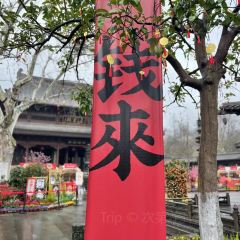 Chongqingxiaotian'e (kaifaqu) User Photo