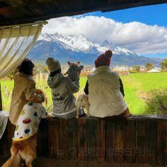 Kuiran Snow Mountain Treehouse Coffee User Photo