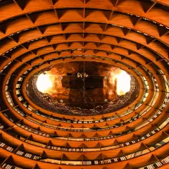 竹林大饭店 User Photo