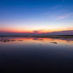 竹林大饭店 User Photo