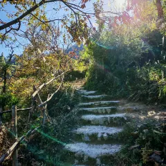 猪圈咖啡屋 User Photo