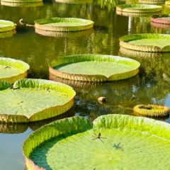 MANFEILONG User Photo